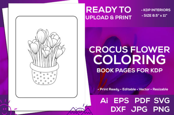 Crocus Flowers Coloring Book Pages Kdp